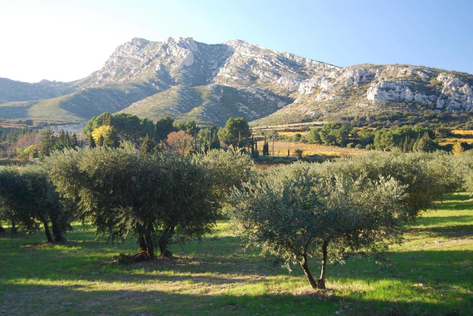 Sous Le Soleil Des Alpilles Lejlighed Mouries Eksteriør billede