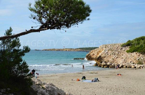 Sous Le Soleil Des Alpilles Lejlighed Mouries Eksteriør billede